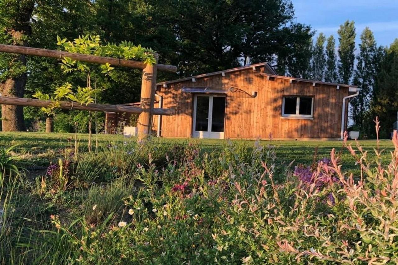 Villa La Grenouillère à Caussade Extérieur photo